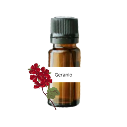 Olio essenziale naturale al Geranio
