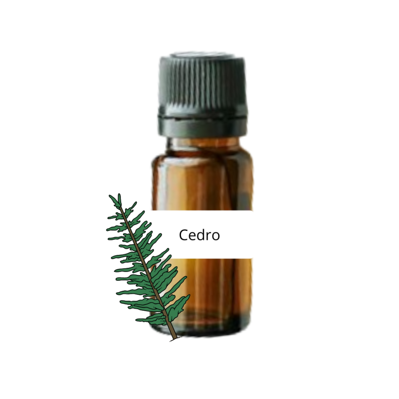 Olio essenziale naturale al Cedro