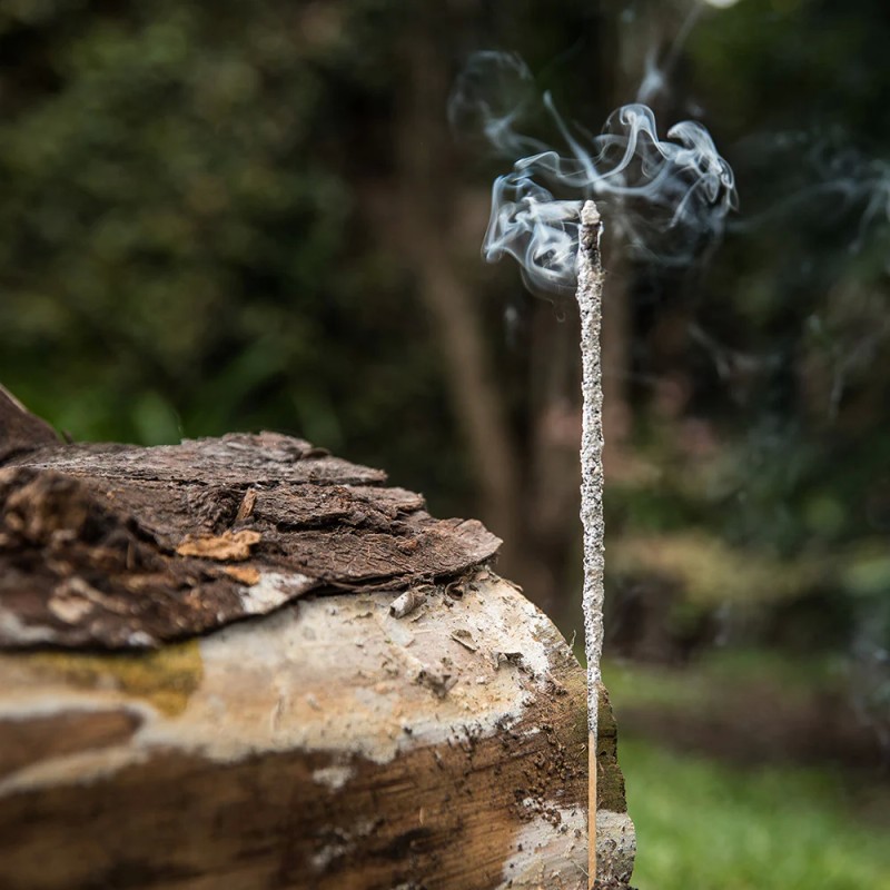 Incenso in stick singolo Copal