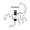 Profumo del Segno zodiacale Scorpione